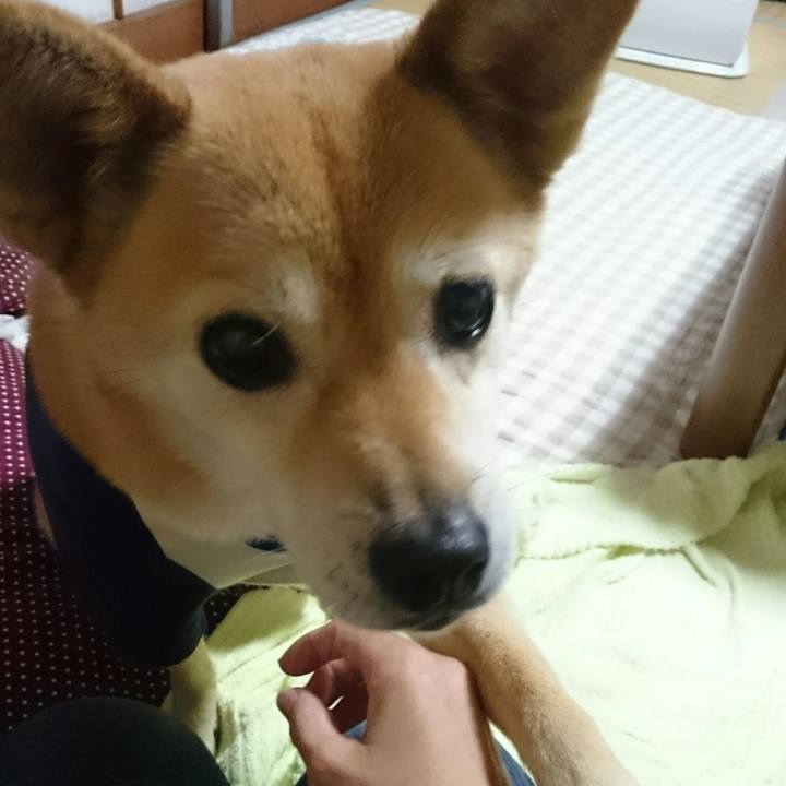 C8c112fc af87 4e0c 85a6 b5255295fc8f