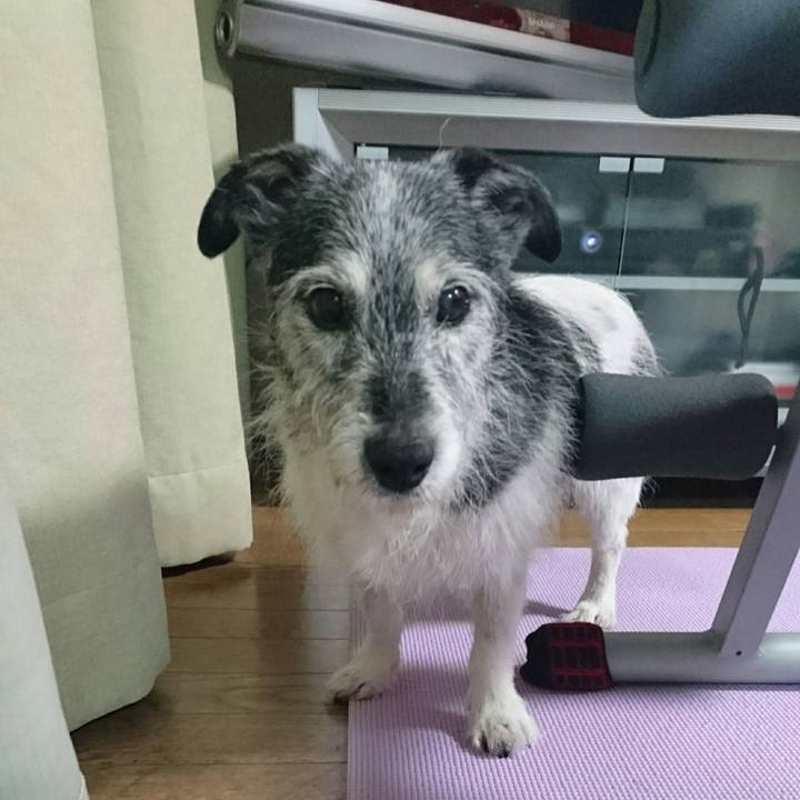 C8c116cd 367c 4959 a2ca b2113cfd9a27