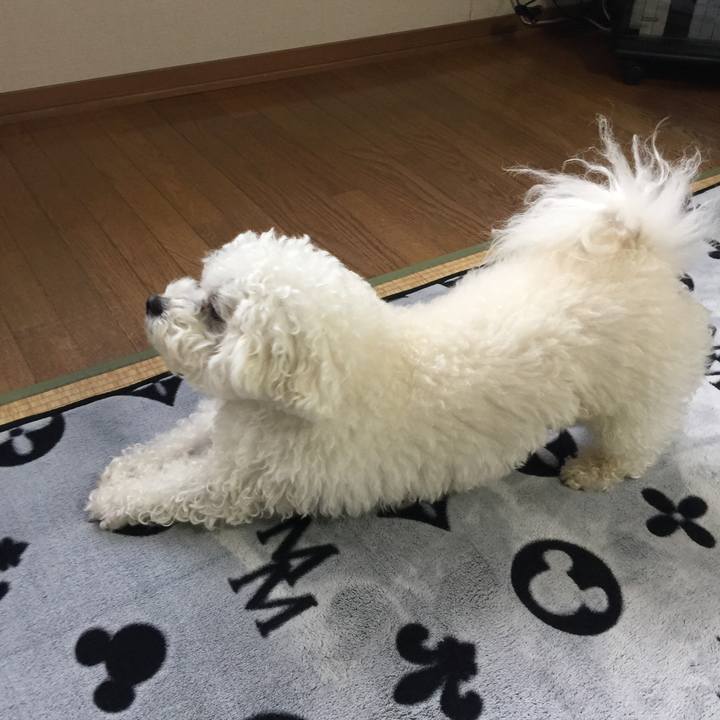 C8c1ec06 15a2 4cb6 96e0 c2869e70bdbd