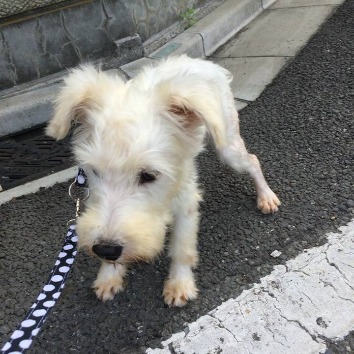 C8c28ac1 7dc8 414c a99d 0fc6cb3d6b4d