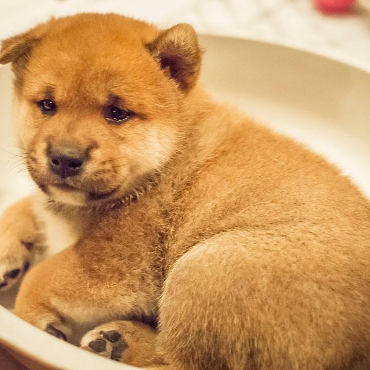 C8c2b607 d56c 46df 9dbb a93d1c967e64