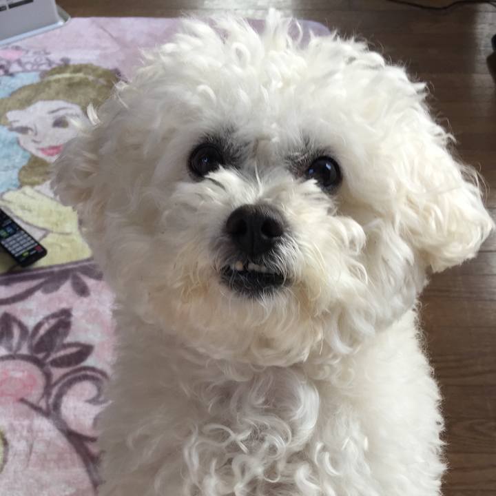 C8c3a82c 5deb 4f38 a1ae a9cbd9b9c54d