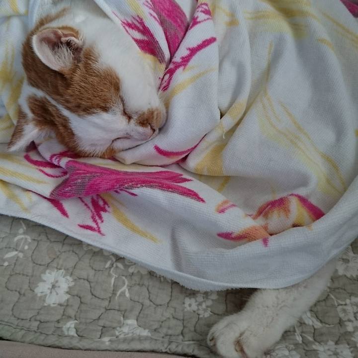 C8c40bf5 9b08 4104 b9eb a8ec806107f7