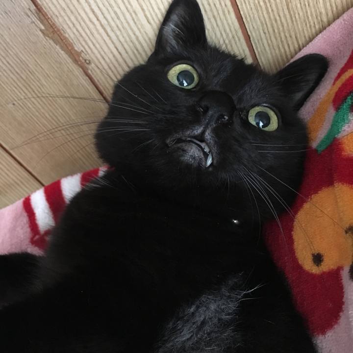 C8c496a9 239a 4201 8d7b 17a0c1c44366