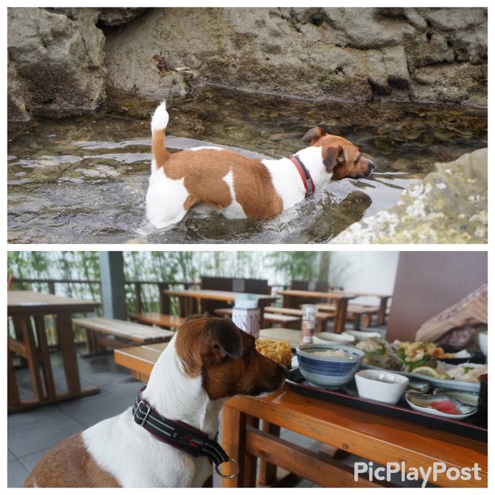 C8c49957 57ba 429b 89cb aa2c708ef60b