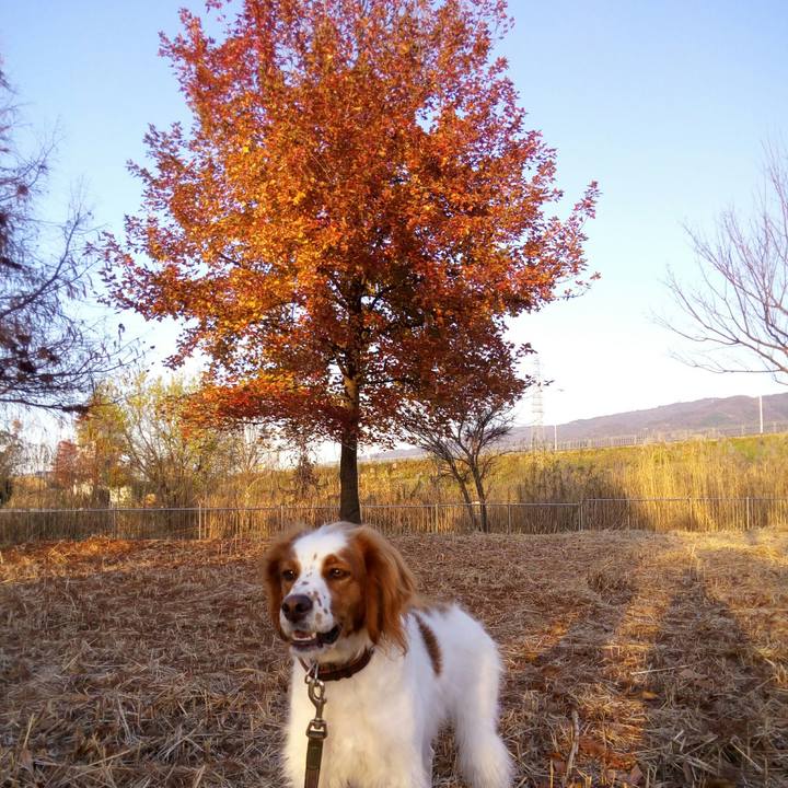 C8c4cfd5 87b9 4842 a0ee d0a7d2fcf2e0