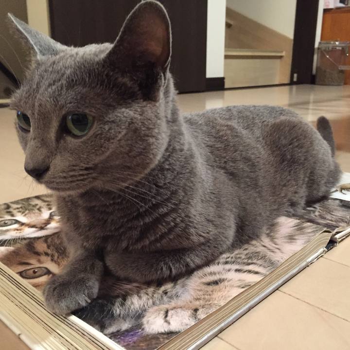 C8c574d3 1a49 40d0 89e2 fe259bdba98d