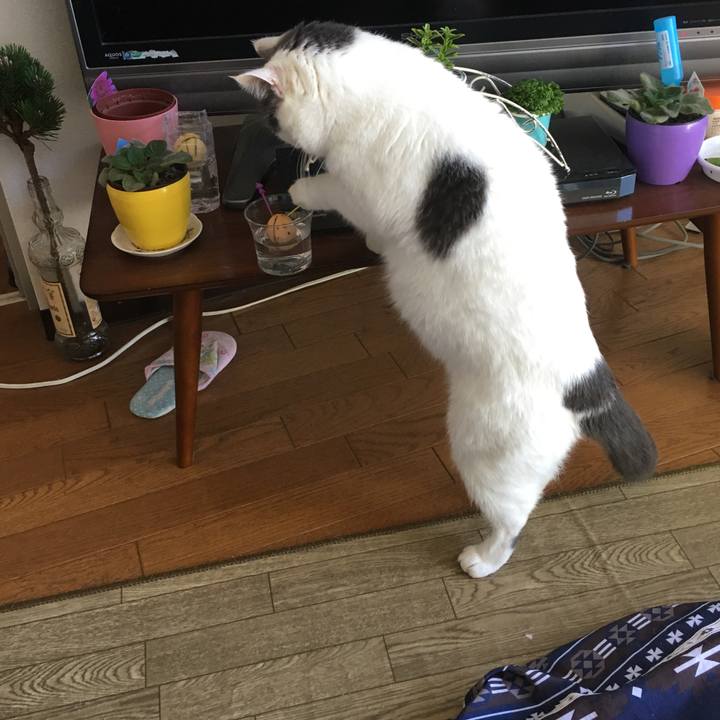 C8c5fd80 74c6 4c10 aabc 1668b465e50d