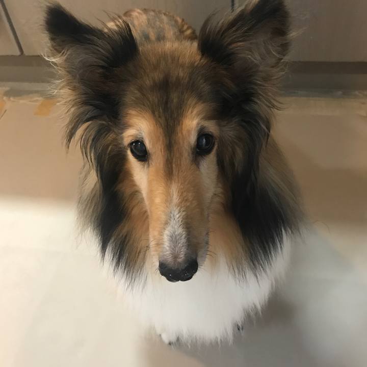 C8c6926e 31a0 4dfb a133 ce272e147f41