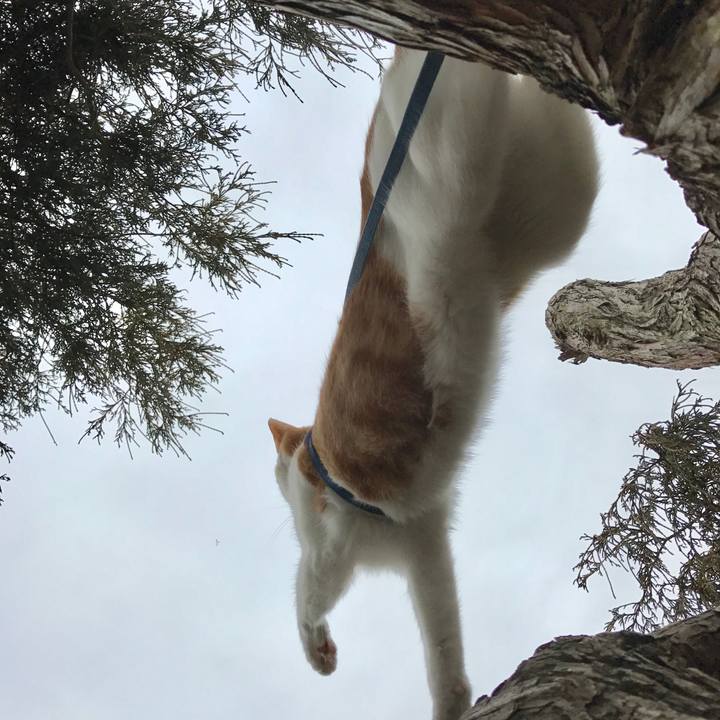 C8c6fcdc 9f21 4f77 b94d 84ab64193a16