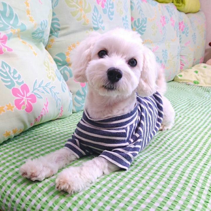 C8c72ed4 4095 43a8 a654 a3b3b164685a