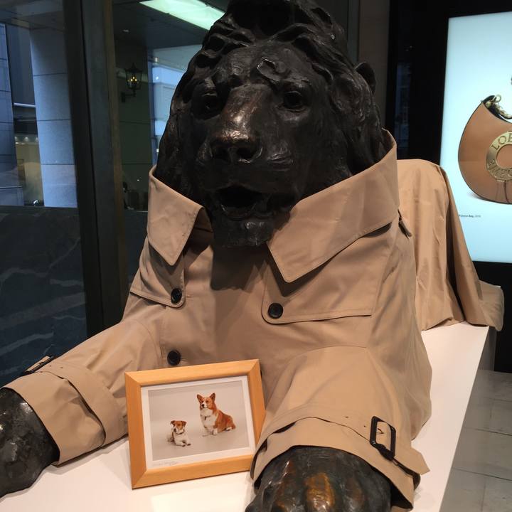 C8c7a74b d059 4ad7 a1a8 79b25da3c088