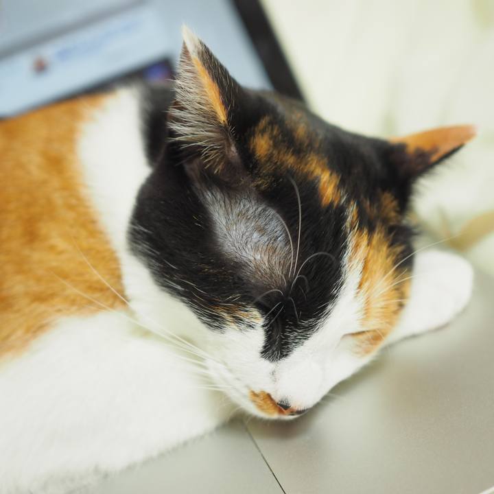 C8c7a87d 641e 44e3 b76e 96cbc6c7f573