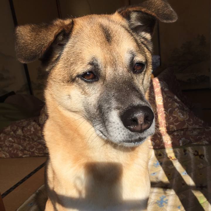 C8c7d46e 2d2c 4d88 ad9a 40ae1fc525fc