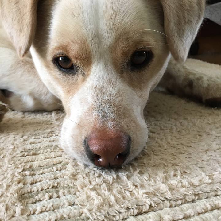 C8c83a18 d45c 4d4b 9f16 0307ea59a05e