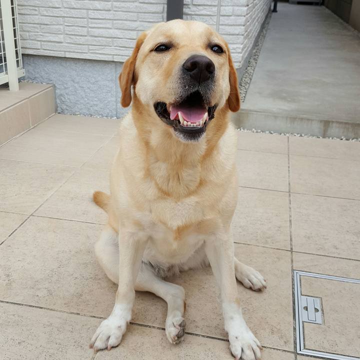 C8c8450d bb37 45e4 a690 a9483decf173