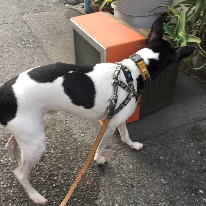 C8c86e27 55cb 4a7e b074 c1186135a46b