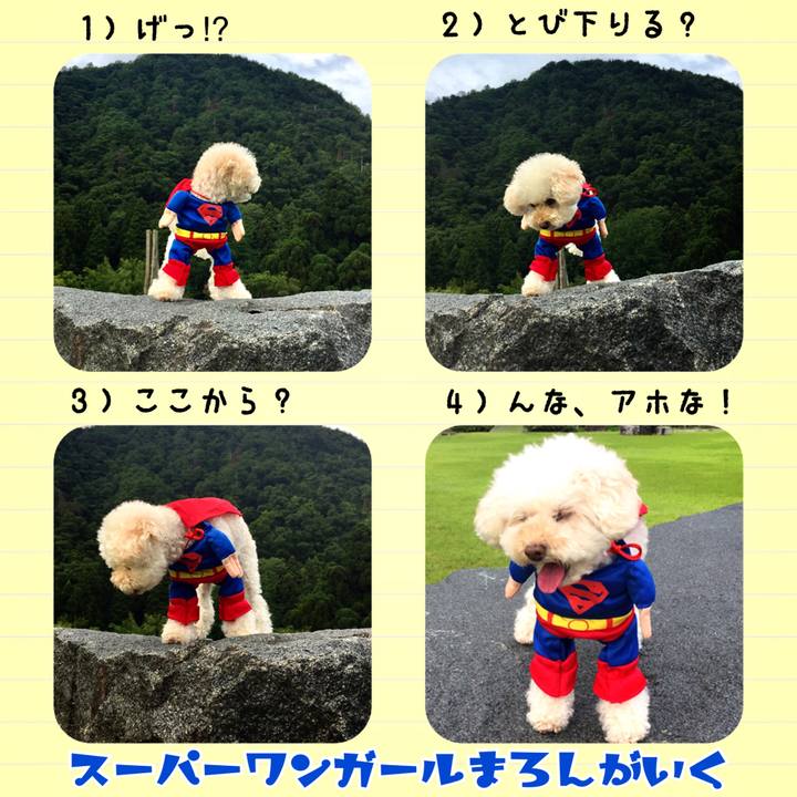 C8c8a108 8d2b 41dd b521 8b56b650b30a