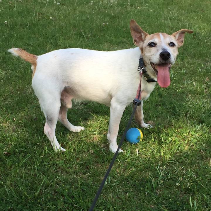 C8c8bc5c 4209 4d86 9616 72191748fc7d