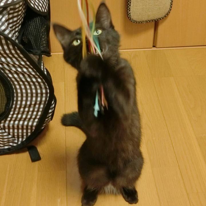 C8c90c58 8dd1 4e47 988d 60e9df5423be