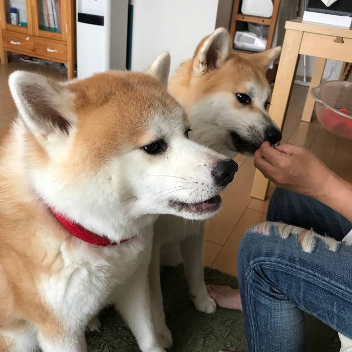 C8c9e510 aea4 4aee b53c 6a6f00ed7eb3