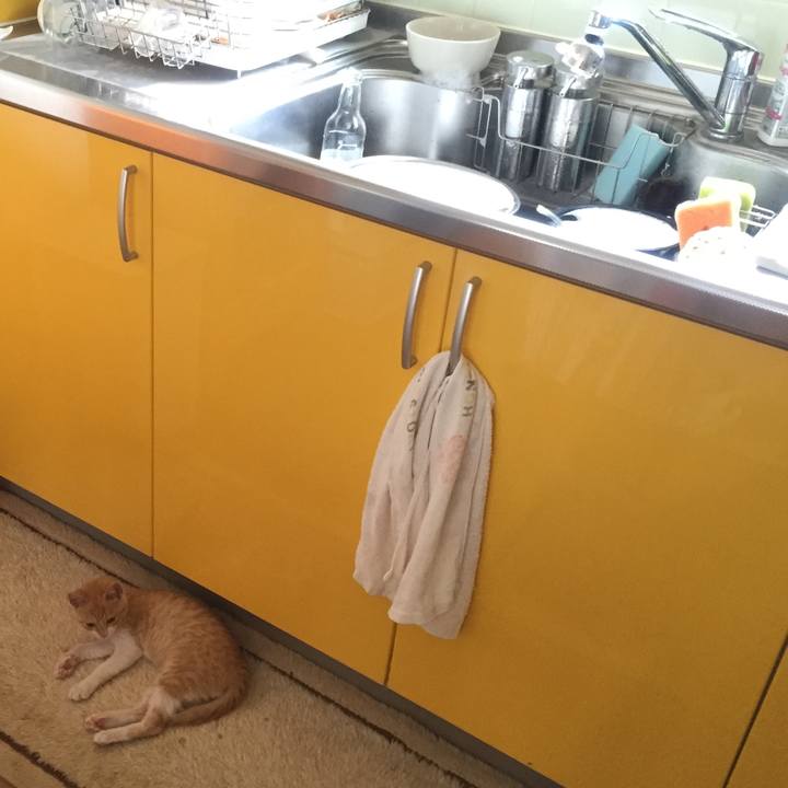 C8ca2c08 a9e7 4c0d b115 4b37da2f32b2