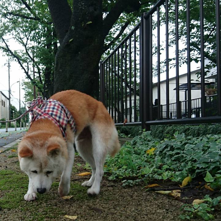 C8cbd66f d340 45ed 8d8a 36daa1f211ca