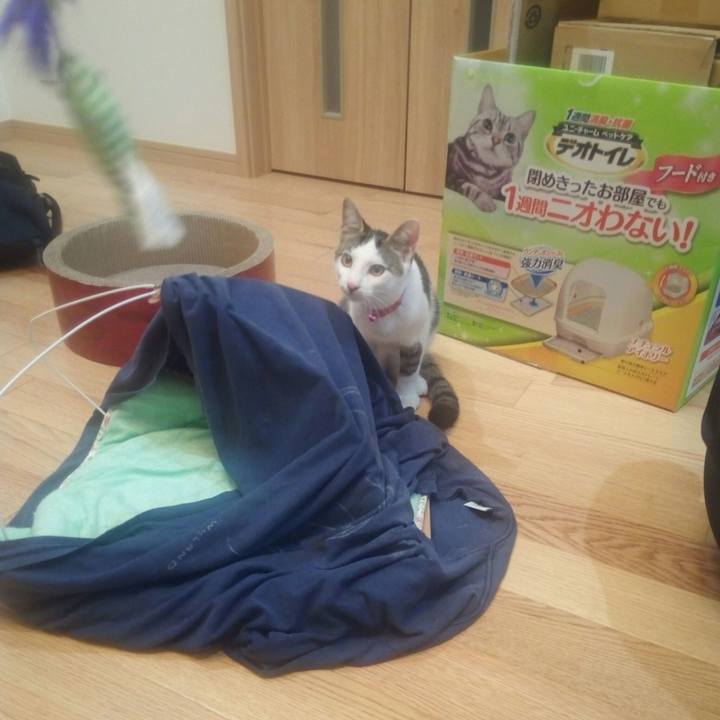 C8cc3571 c738 44be 86c1 bf6f9d6d936c