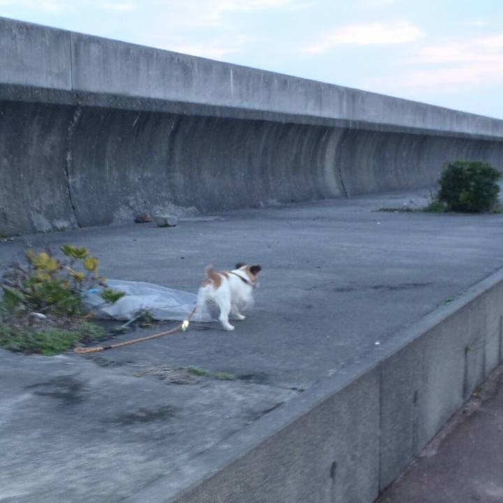 C8cc4cf0 f4f2 46c2 9ca2 03656eb69fc0