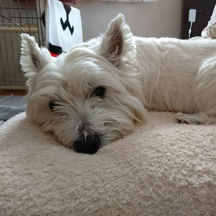 C8ccdf25 7fac 4a19 b0d1 55dde3f37111