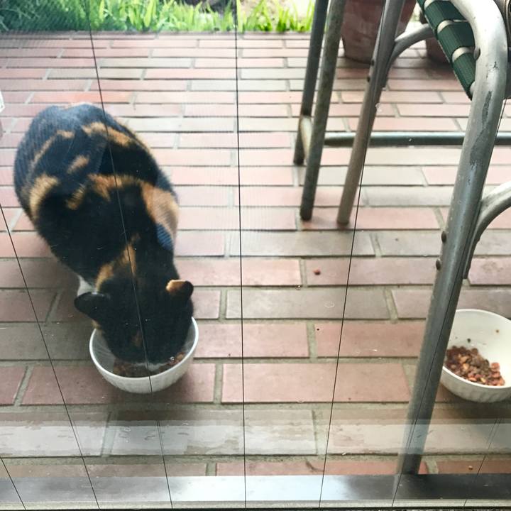 C8cd58c2 6519 487c 8385 e71bc772ca85