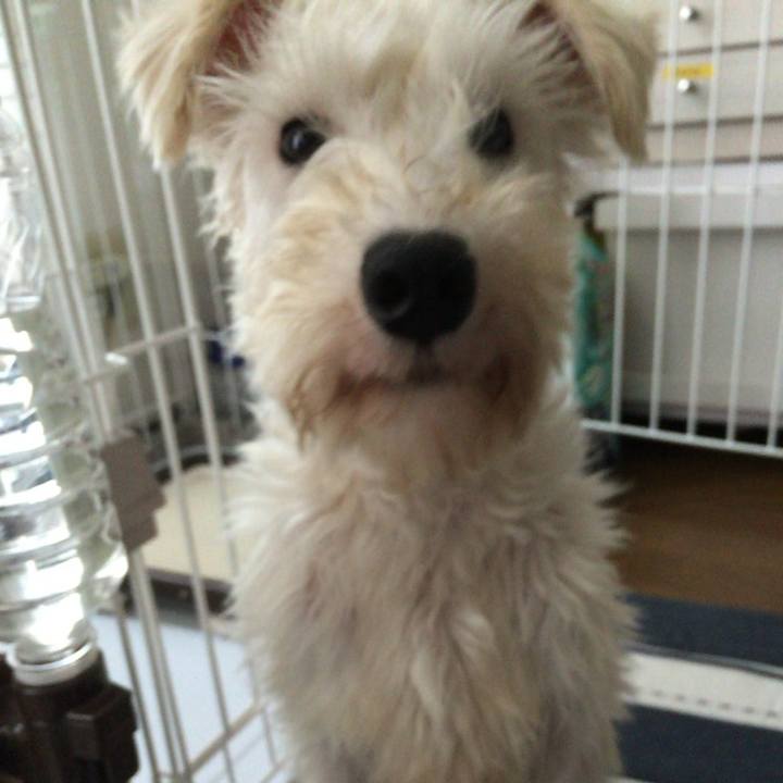 C8cdb9ca 924d 4e11 9975 f58fb0c9f8d1