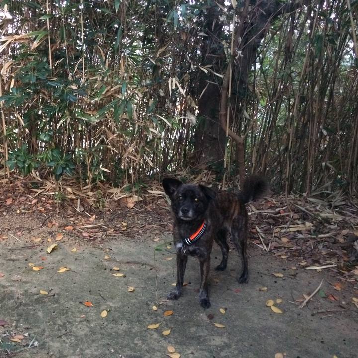 C8cdf563 3c18 4e36 ab91 739deb9d57ed