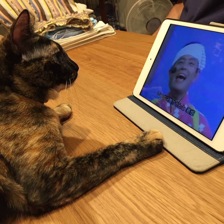 C8ce08bb aaa0 445d 9895 a3db8a04b341