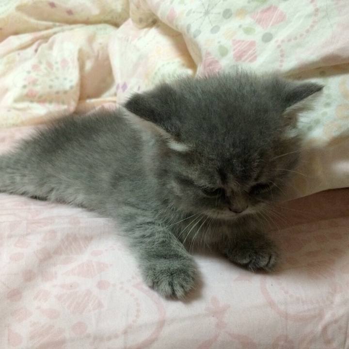 C8ce393b a44f 4eee 9abc d1f23b56646c