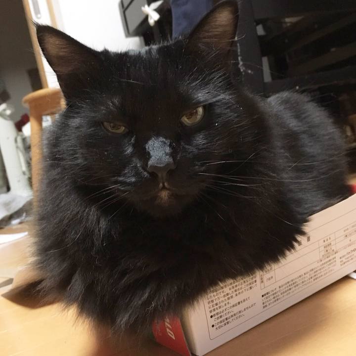 C8ce84d9 e79f 4fc4 8d7c 02e1ea42cd5d