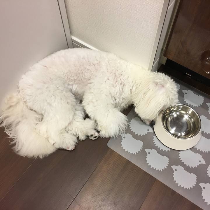 C8ceeac4 60a3 4aff 9eb8 0af15b0bcb1f