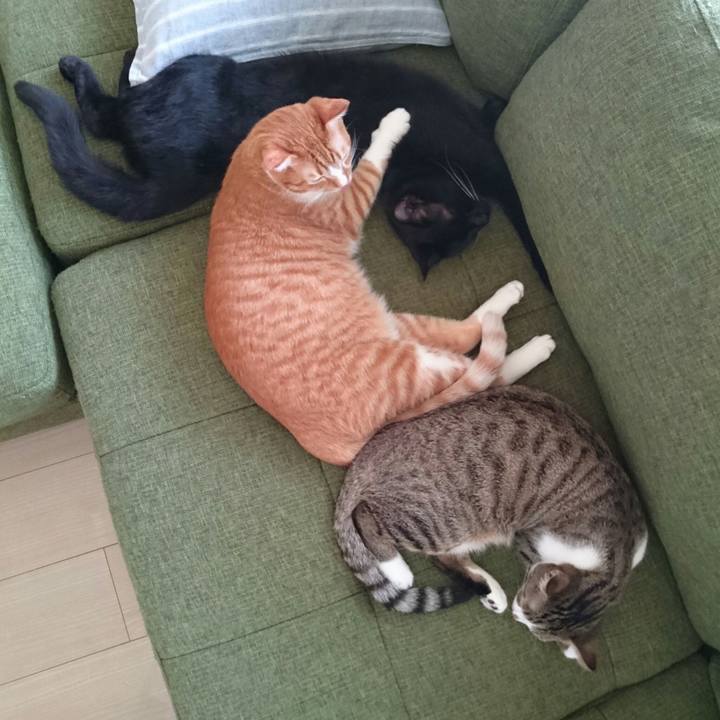 C8cfcf6f 2f19 4daf 84f7 4751dac1fe06