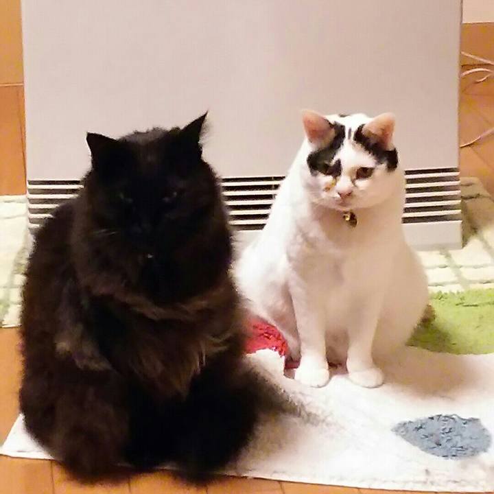 C8d00bc9 e365 4558 9182 774dc451b73d