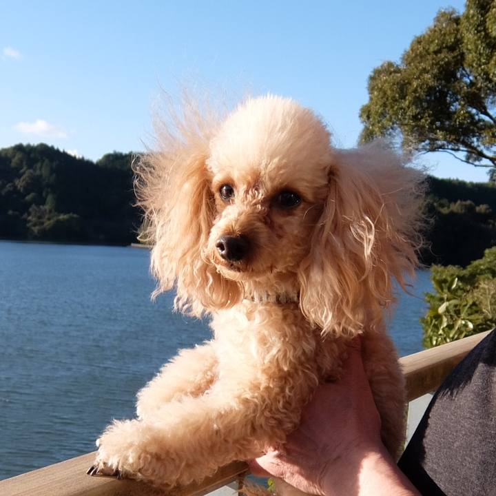 C8d01751 b326 4031 86c2 1193c299dfb4