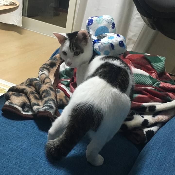 C8d052e5 850b 48ab 8c9a 20f4e41bcdac