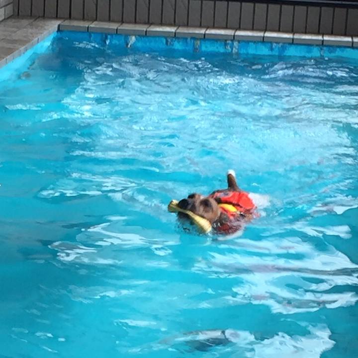 C8d06ba0 b028 474f 93e2 33314ed32741