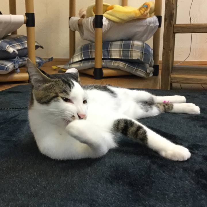 C8d0fe84 55ff 4c19 b9de 3151c4746e0b