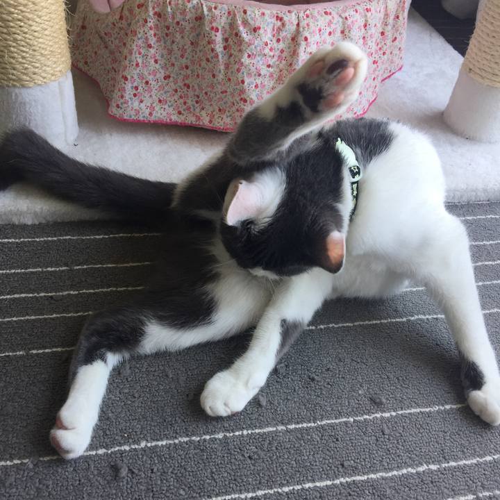 C8d17289 f70d 4a9c aae1 0fca36ec8a09