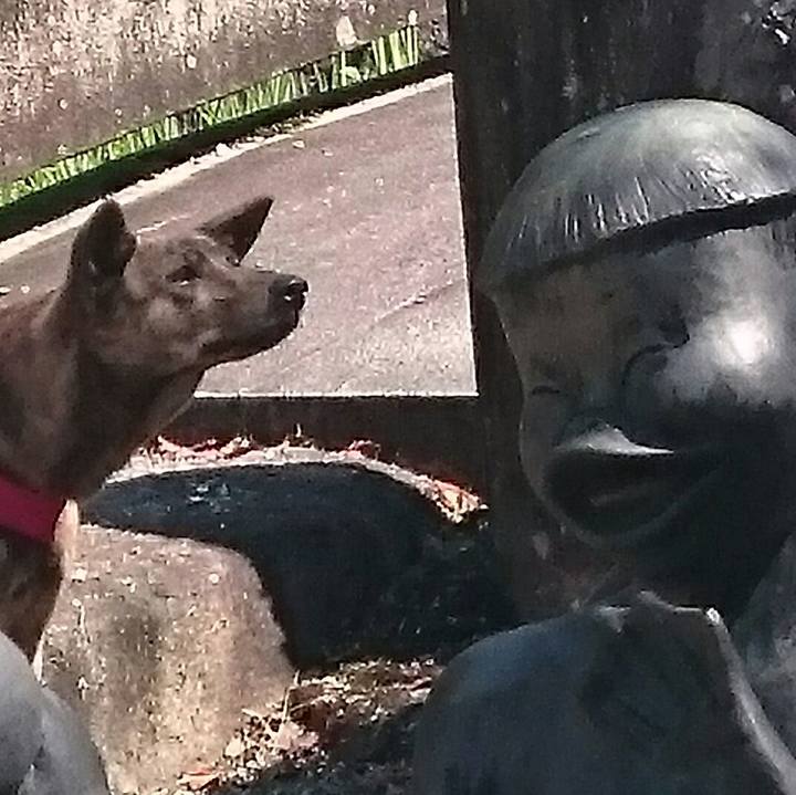 C8d193ec f70b 4dad 951d 955bf6b32c88