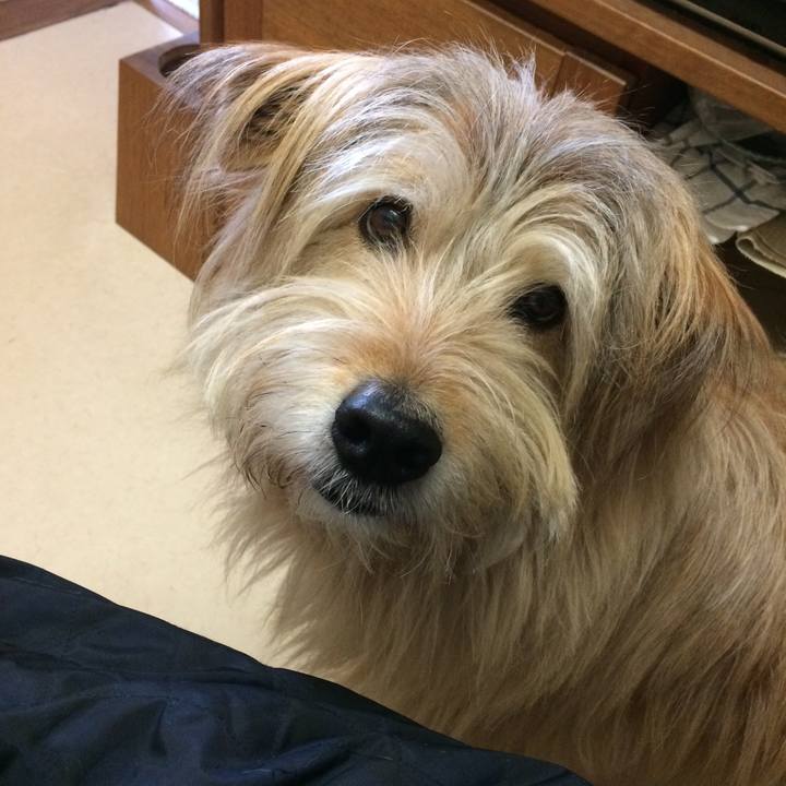 C8d19acf 6822 4f00 a73d 96c78ce73779