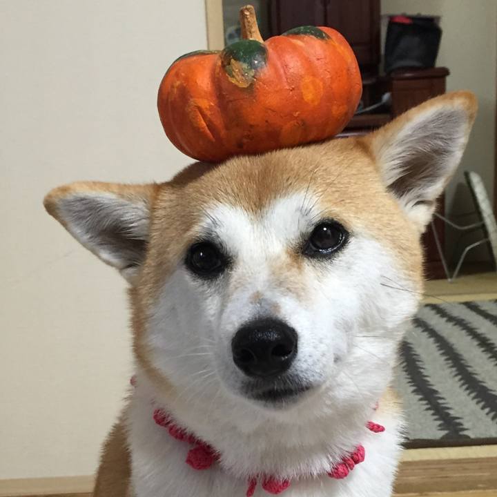 C8d19b97 f3b4 4326 b6b4 7be3094f78c2