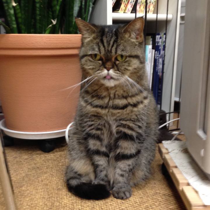 C8d20609 0421 4b80 ab52 deddab4dea21