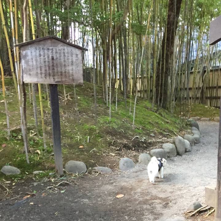 C8d23d1d f2d4 4336 8da2 874e7caf9727