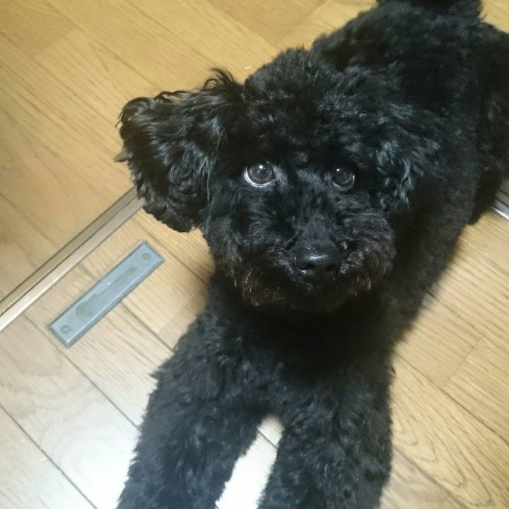 C8d2654f 3068 4d40 96c4 a388b29e38e0